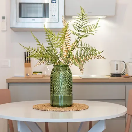 Alocasia Dream