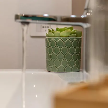 Alocasia Dream Apartmán Siena