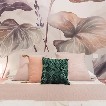 Alocasia Dream *